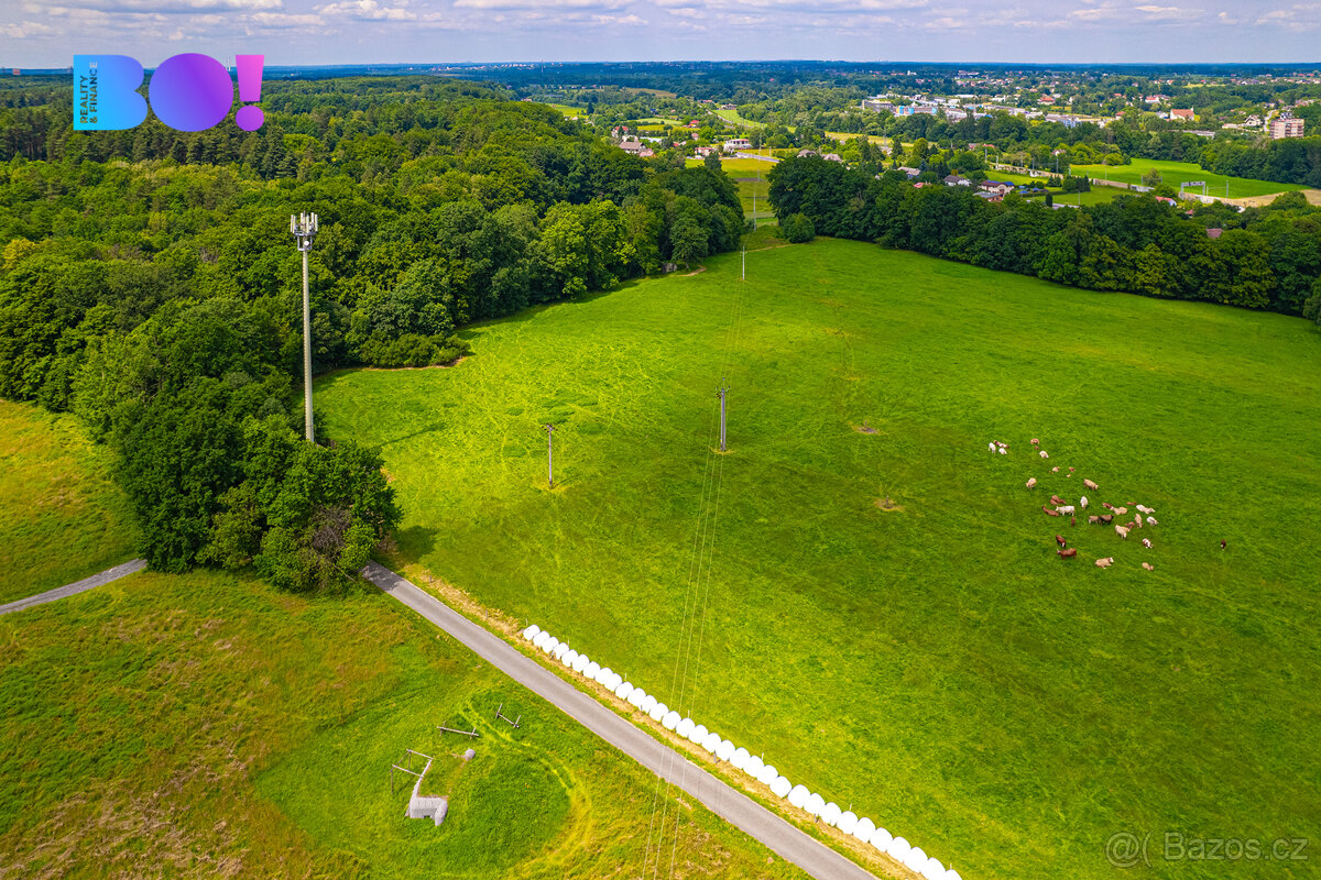 Prodej zemědělského pozemku 6 655 m², Zpupná Lhota, obec Cho