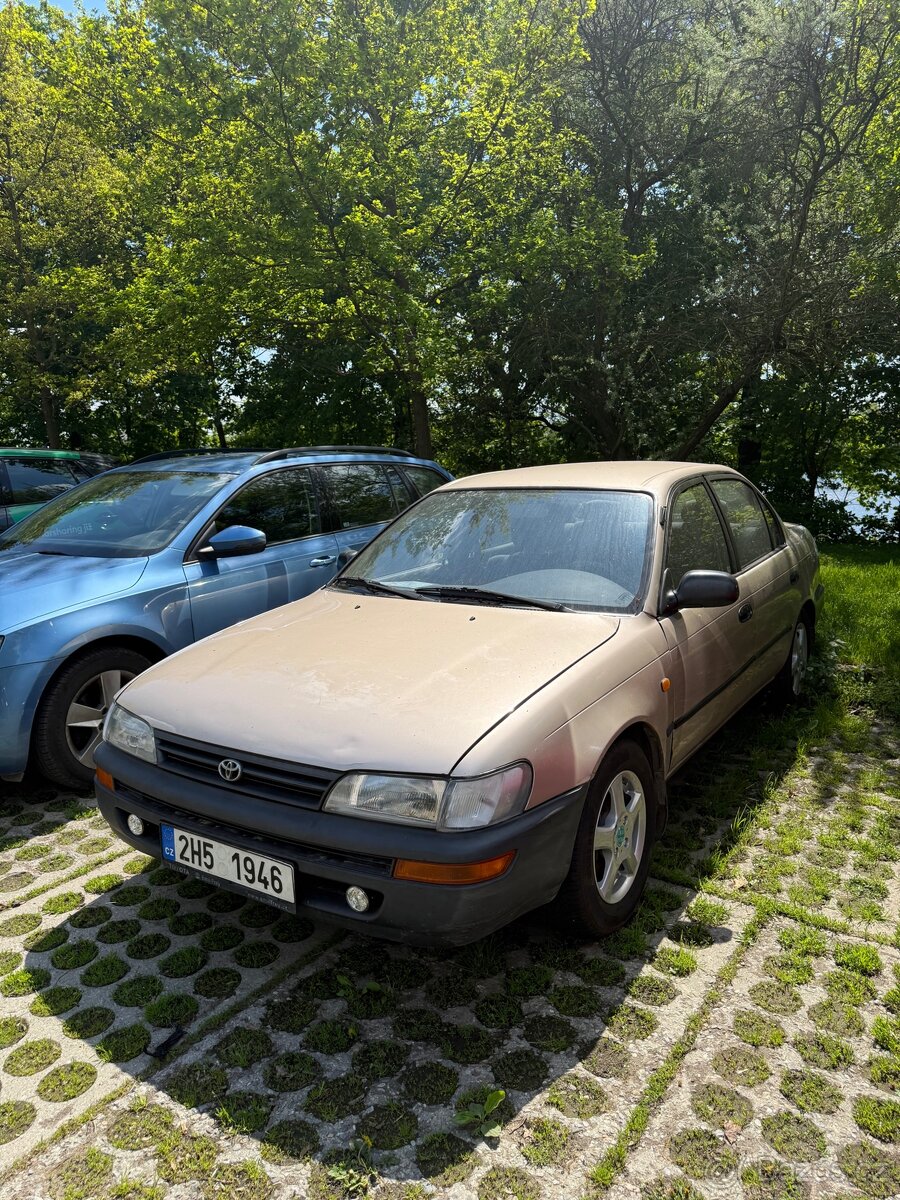 Toyota Corolla Sedan