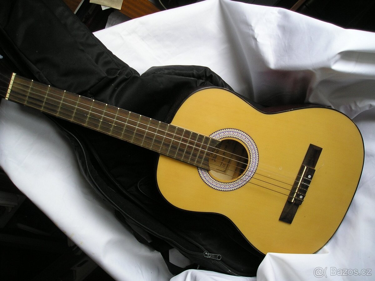 Kytara Andy Stonewood