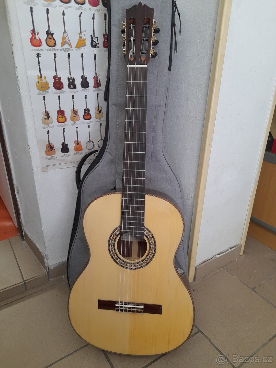 Kytara Magna
