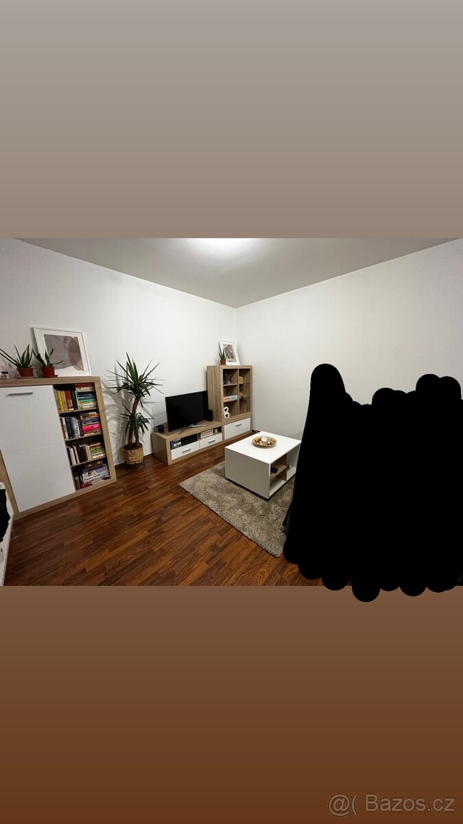 Obývací stěna