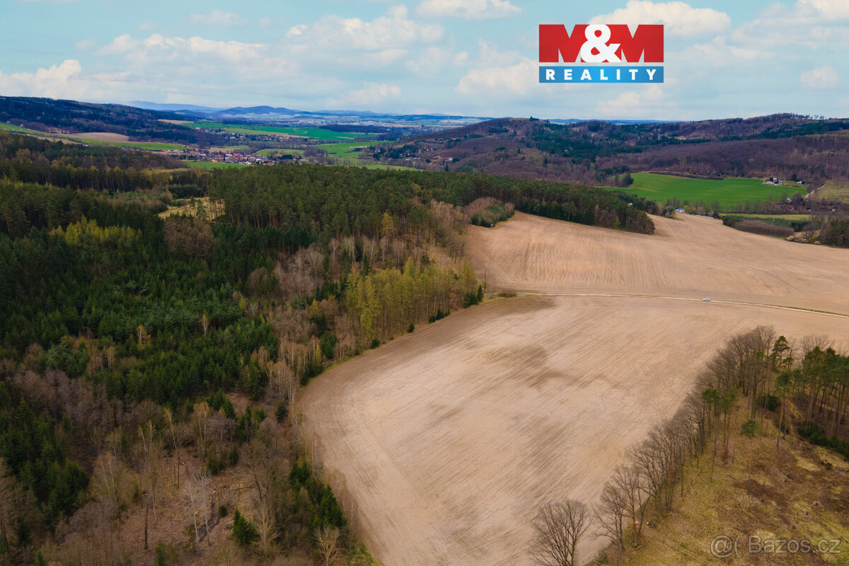 Prodej pole, 5839 m², Předenice