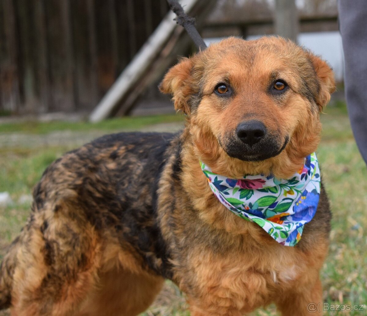 EILYN K ADOPCI - 1 ROK, KLIDNÁ, ODDANÁ, MILÁ