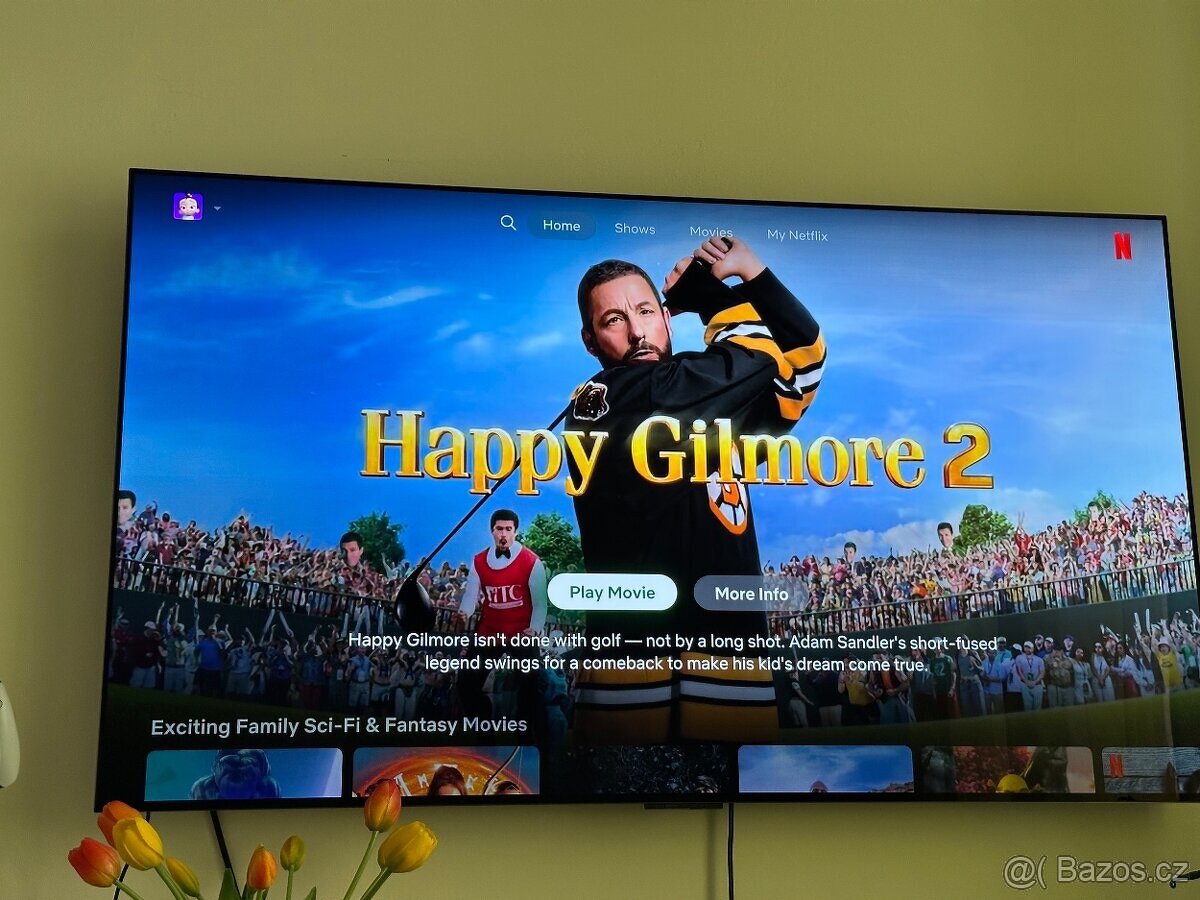 Tv LG OLED 55” v záruce 08/2026