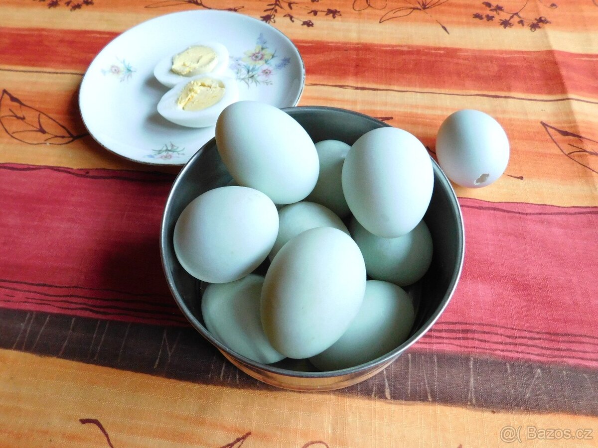 Vajíčka kachní, na vaření a pečení