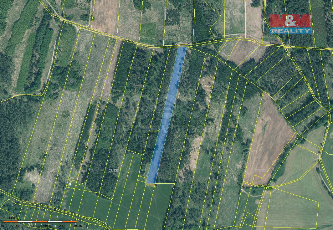 Prodej lesa, 13770 m², Jetětice