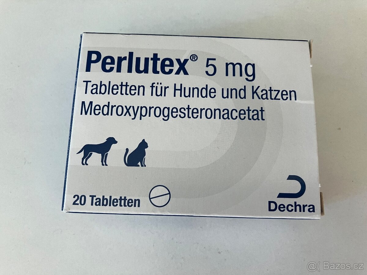 Antikoncepce Provera pro psy a kočky