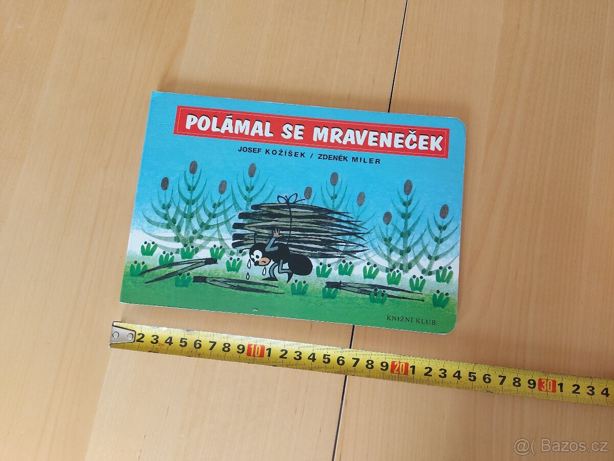 Knížka POLÁMAL SE MRAVENEČEK