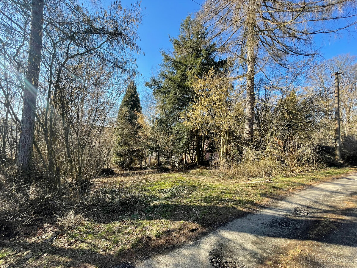 Prodej stavebního pozemku 2276 m², Služátky, Světlá n/S