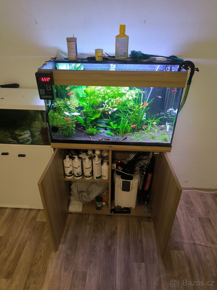 Komplet akvárium včetně osazenstva