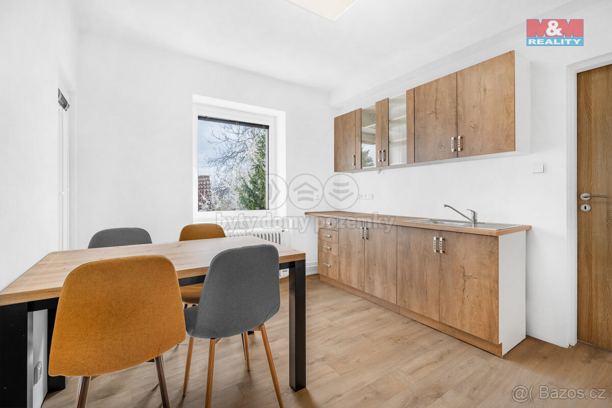 Pronájem bytu 1+kk, 23 m², Plazy
