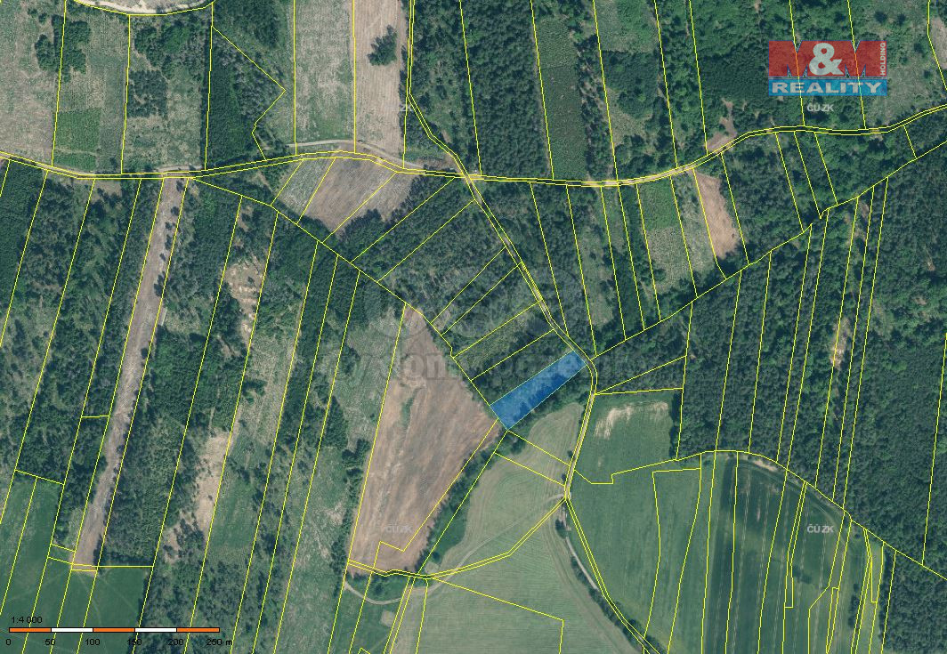 Prodej lesa, 3625 m², Jetětice