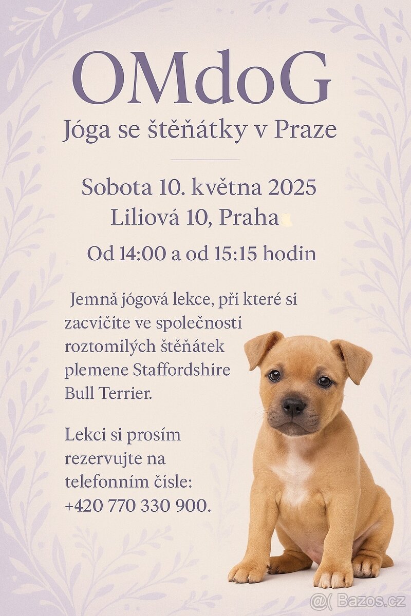 Stenatka, joga, voucher/zazitek, pets yoga, puppy yoga