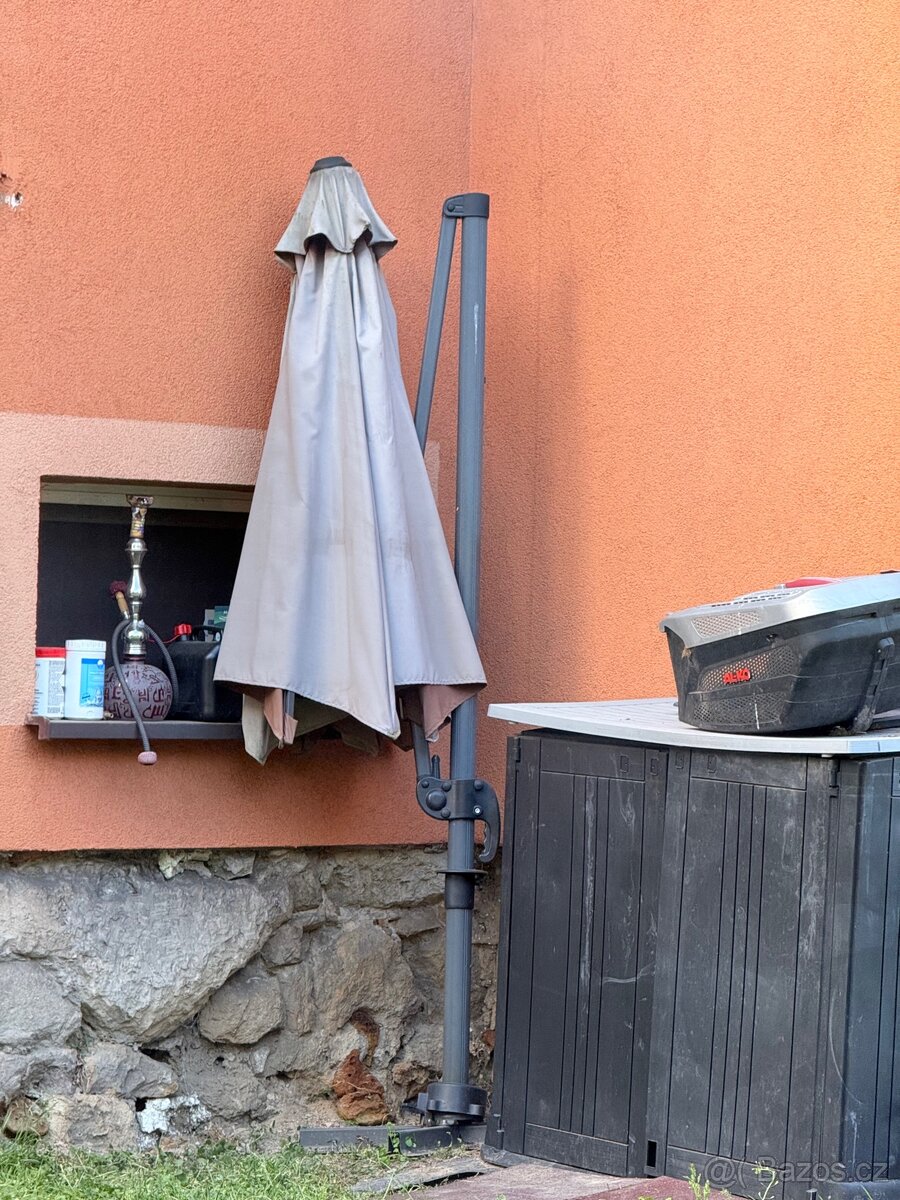 Slunečník