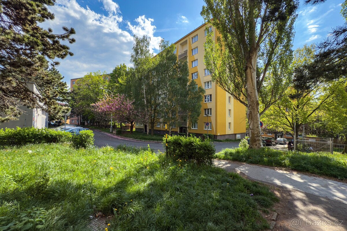 Pronájem, byt 2+1, 61 m2, Chomutov Kamenná ul., ev.č. 00611