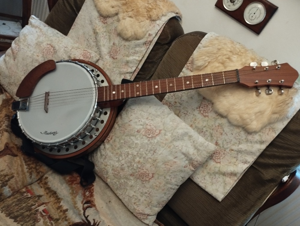 Banjo 6 strun