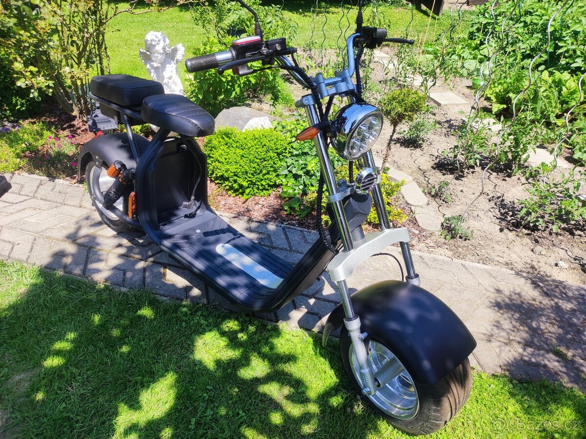 Elektrokoloběžka ECO HIGHWAY 1500W SILVER LINE, BLACK