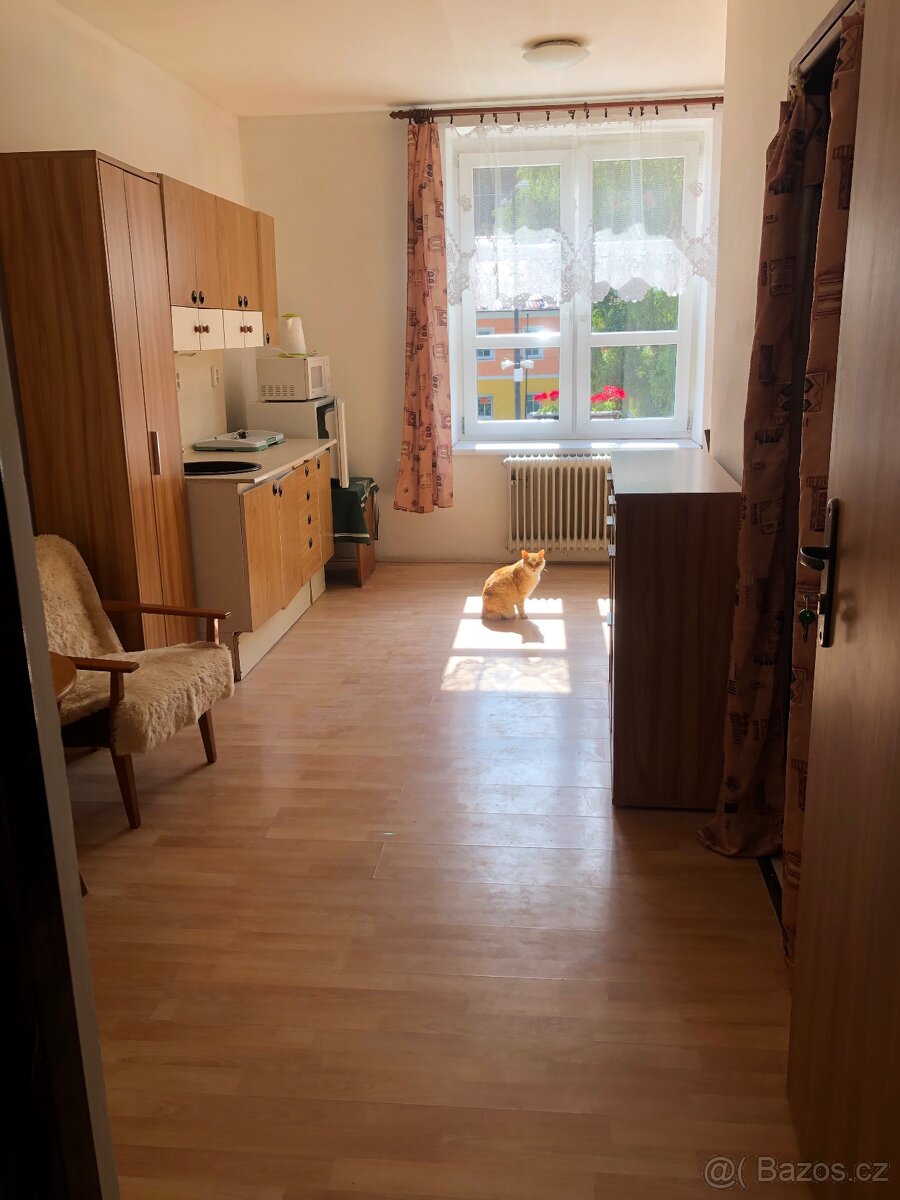 Pronájem bytu 2+kk Březová nad Svitavou