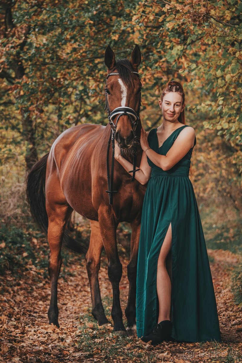 Klisna A1/1 vhodná do všestrannosti