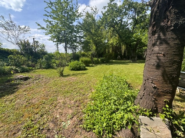 Prodej zahrady 645 m²