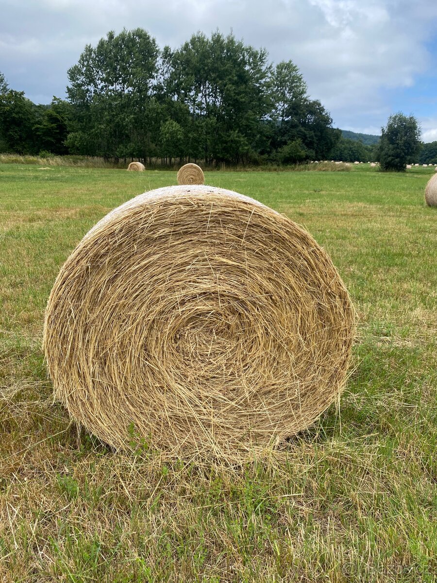 Balíky sena 125cm ekologické nezmoklé