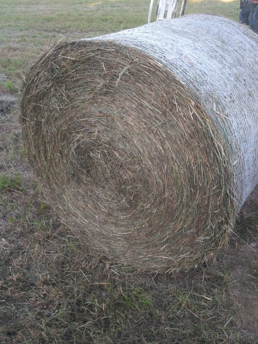 Prodám seno kulaté balíky