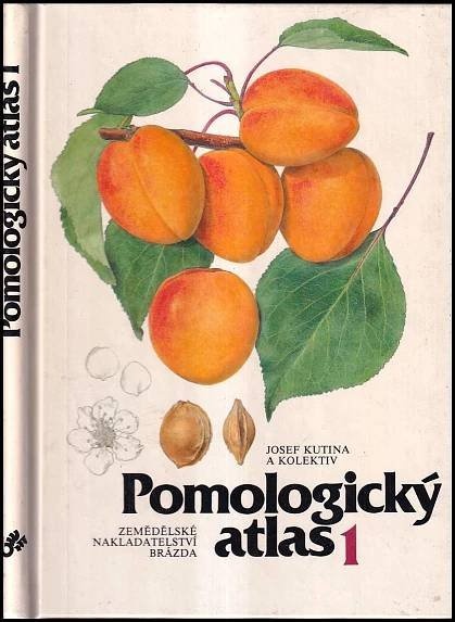 Atlas,ovocnářství,sady,roubování