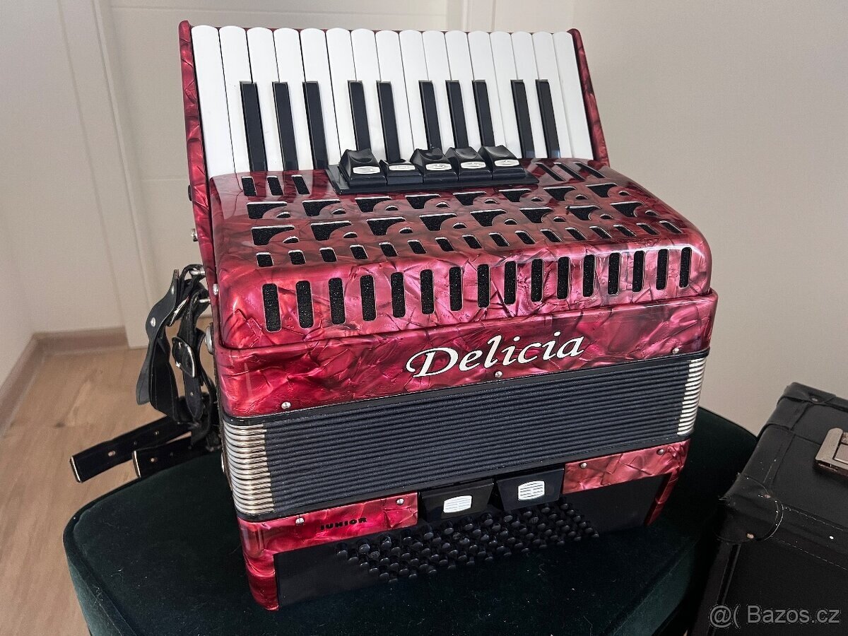 DELICIA JUNIOR 72b LIMITED ZÁRUKA