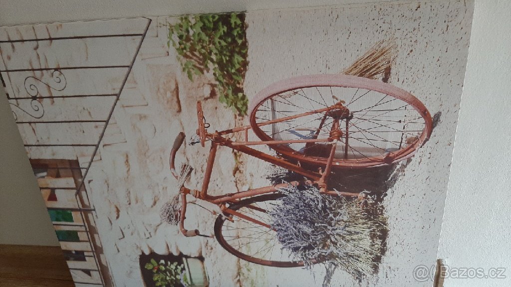 obraz kola platno
