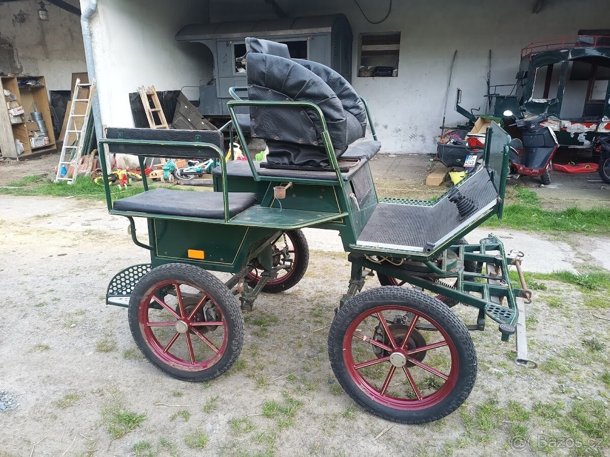 Kočár, wagoneta , pony , koně