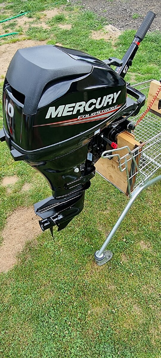 Mercury motor