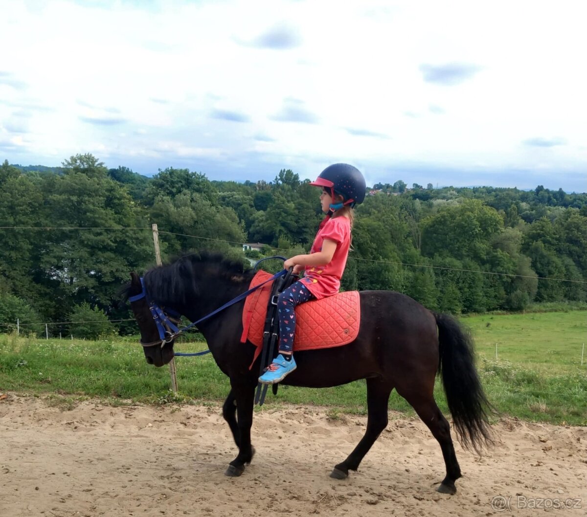 Černá pony kobylka