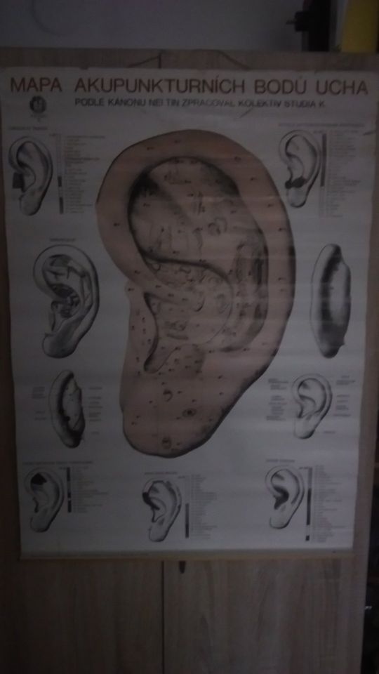 Plakat