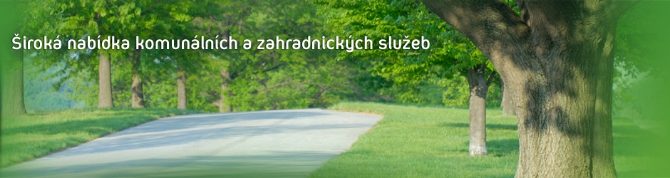 Řidič sk. B na vývoz odpadkových košů v Brně