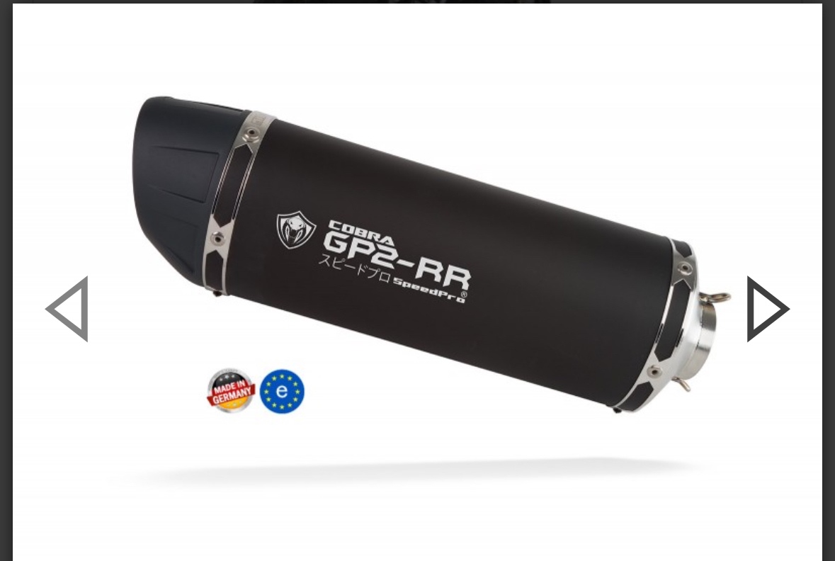 Výfuk Cobra GP2-RR Speed Pro na BMW R1250 R/RS, homologovaný