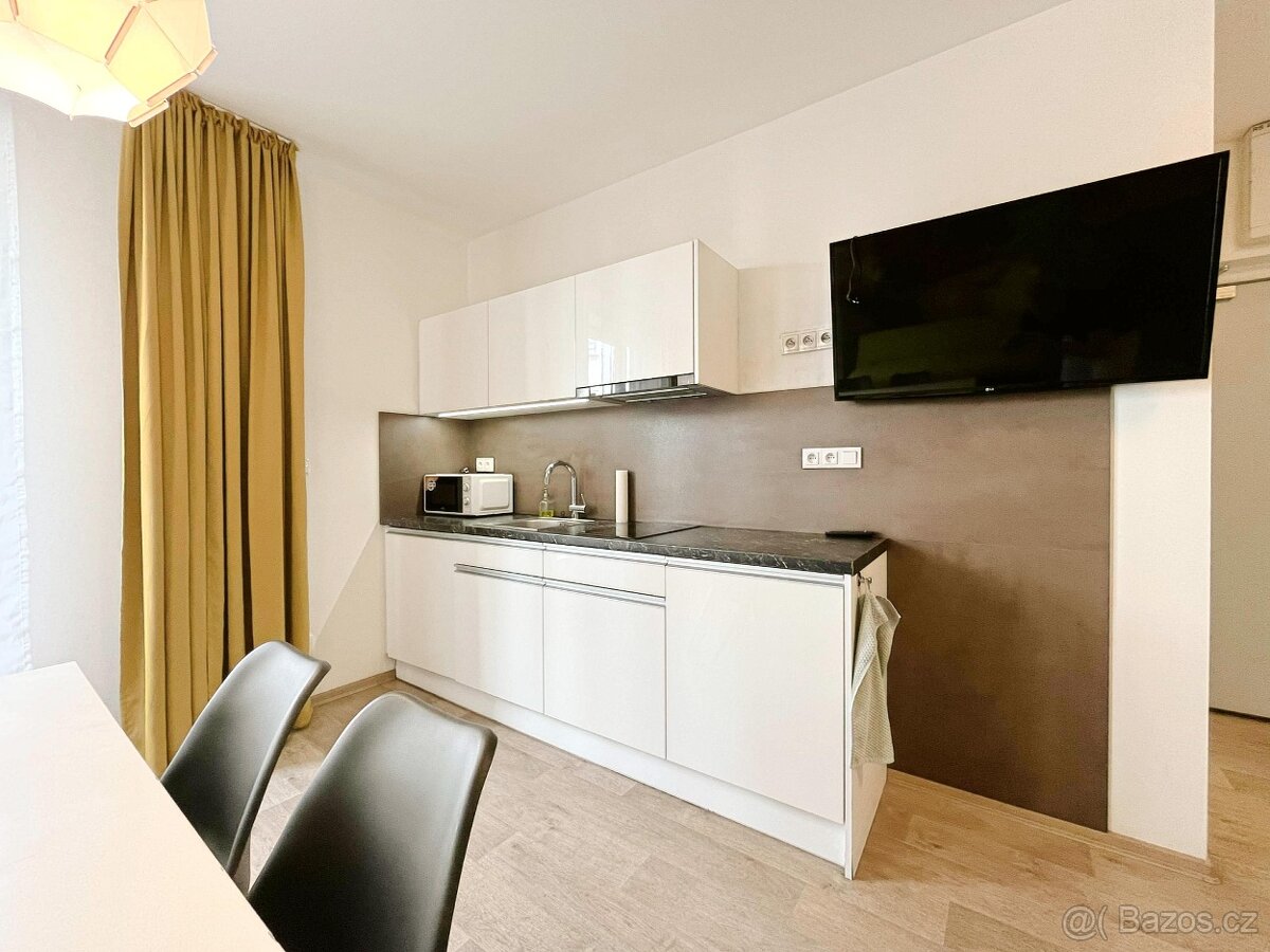 Pronájem bytu 1+kk 46 m² Kobližná, Brno - Brno-město