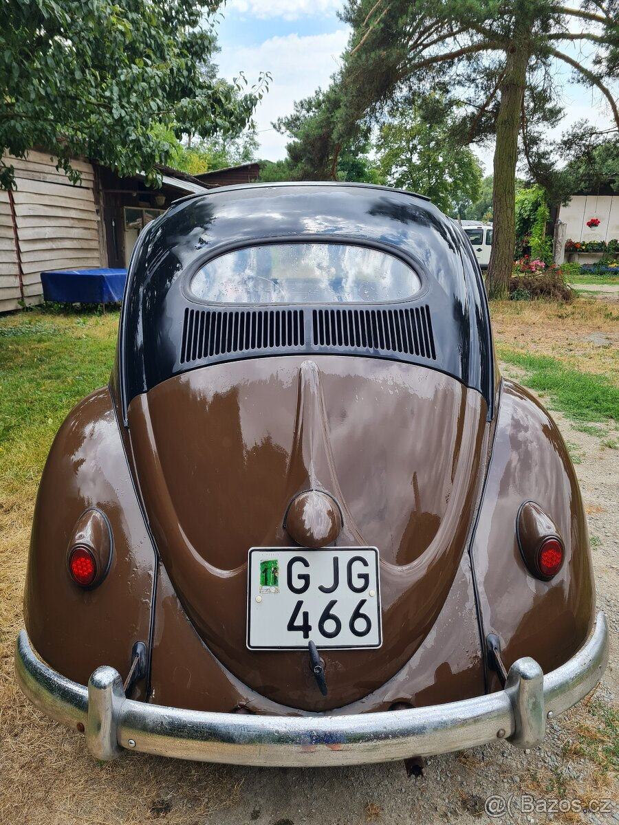 Brouk 1954 oval zadní okno