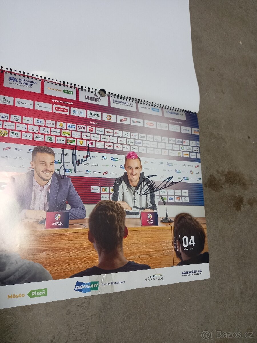 Fc Viktoria Plzeň