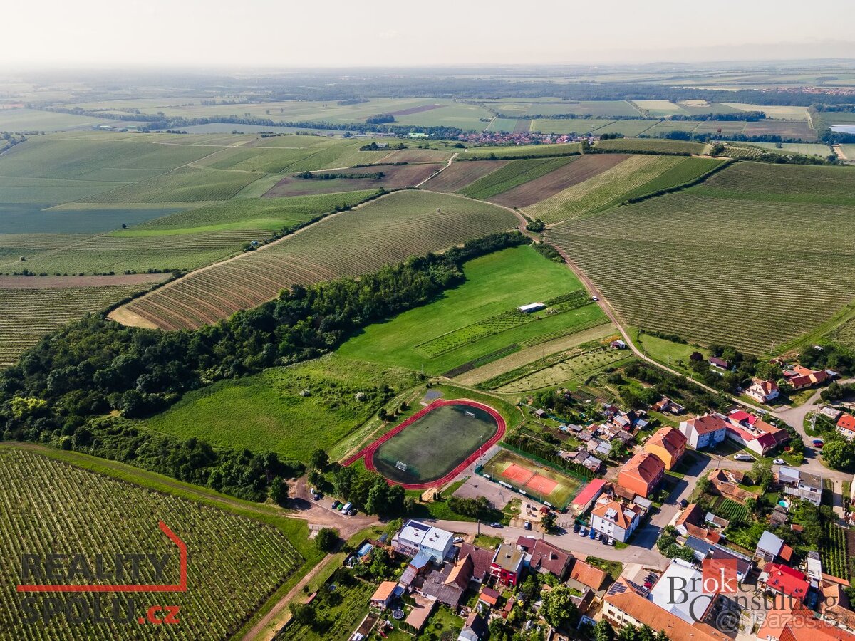 Prodej, pozemky/vinice/sady, 256256 m2, Zaječí, Břeclav [ID