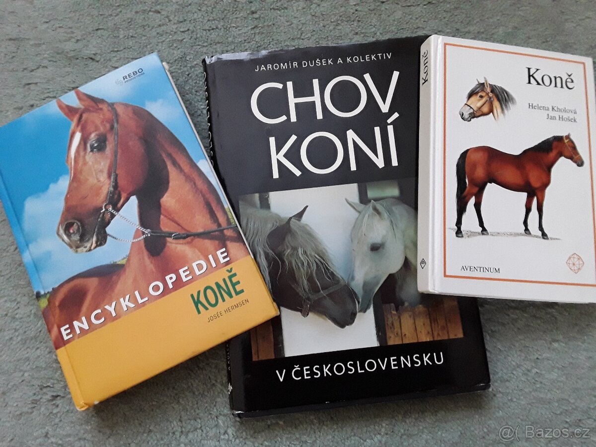 6x kniha  o koních