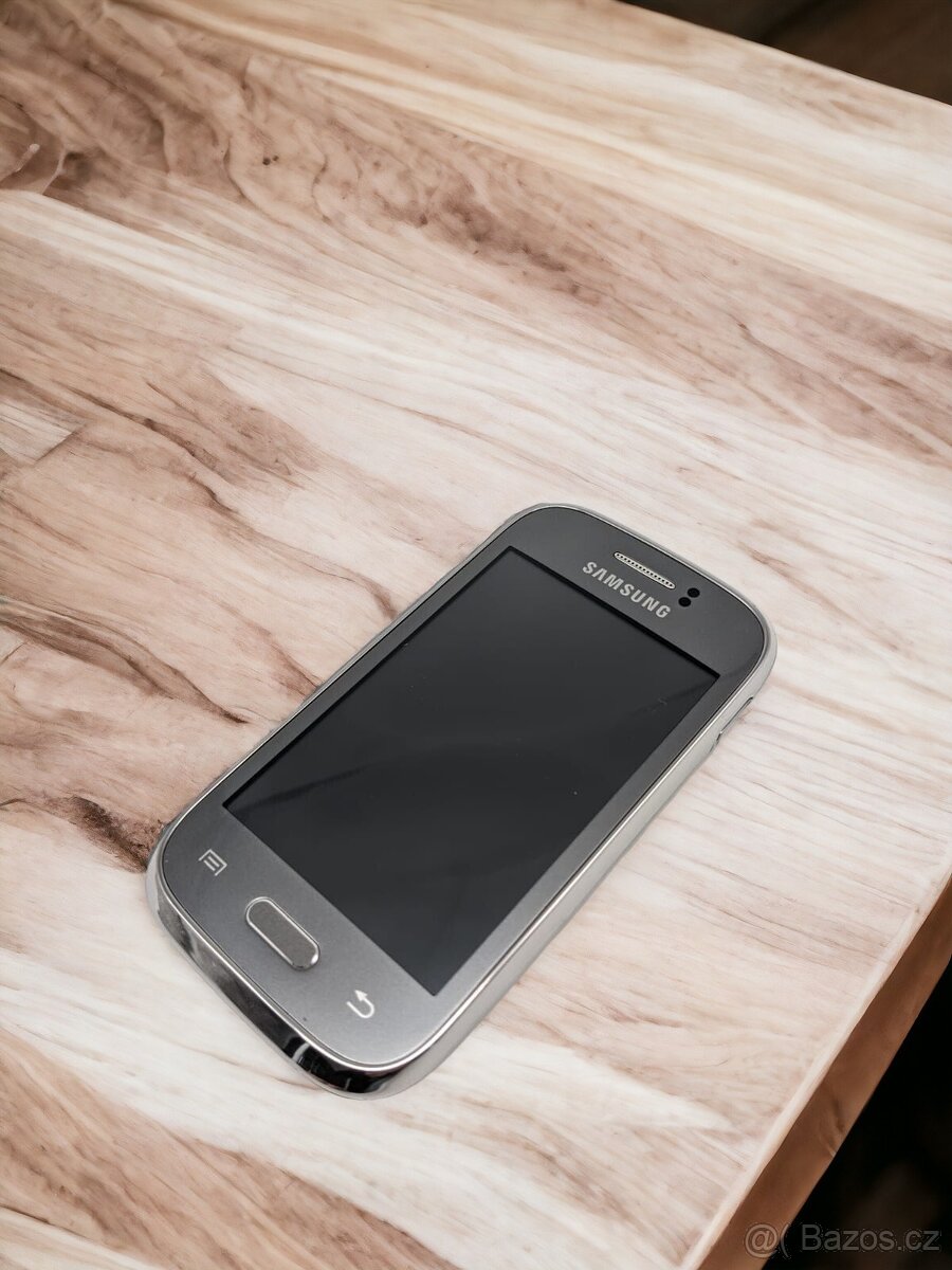 Samsung Galaxy Young  GT-S6310N