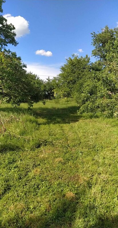 Prodej dvou pozemků ke stavbě RD v obci Šanov okr. Znojmo