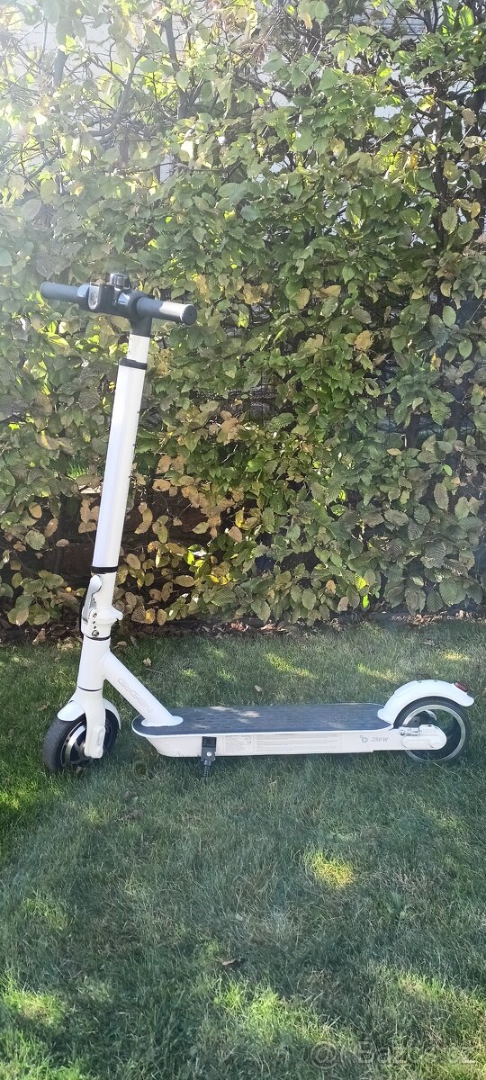 Elektro koloběžka GoGEN - skládací