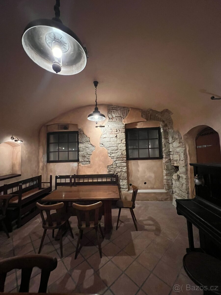 Prodej komerčního prostoru Praha 1