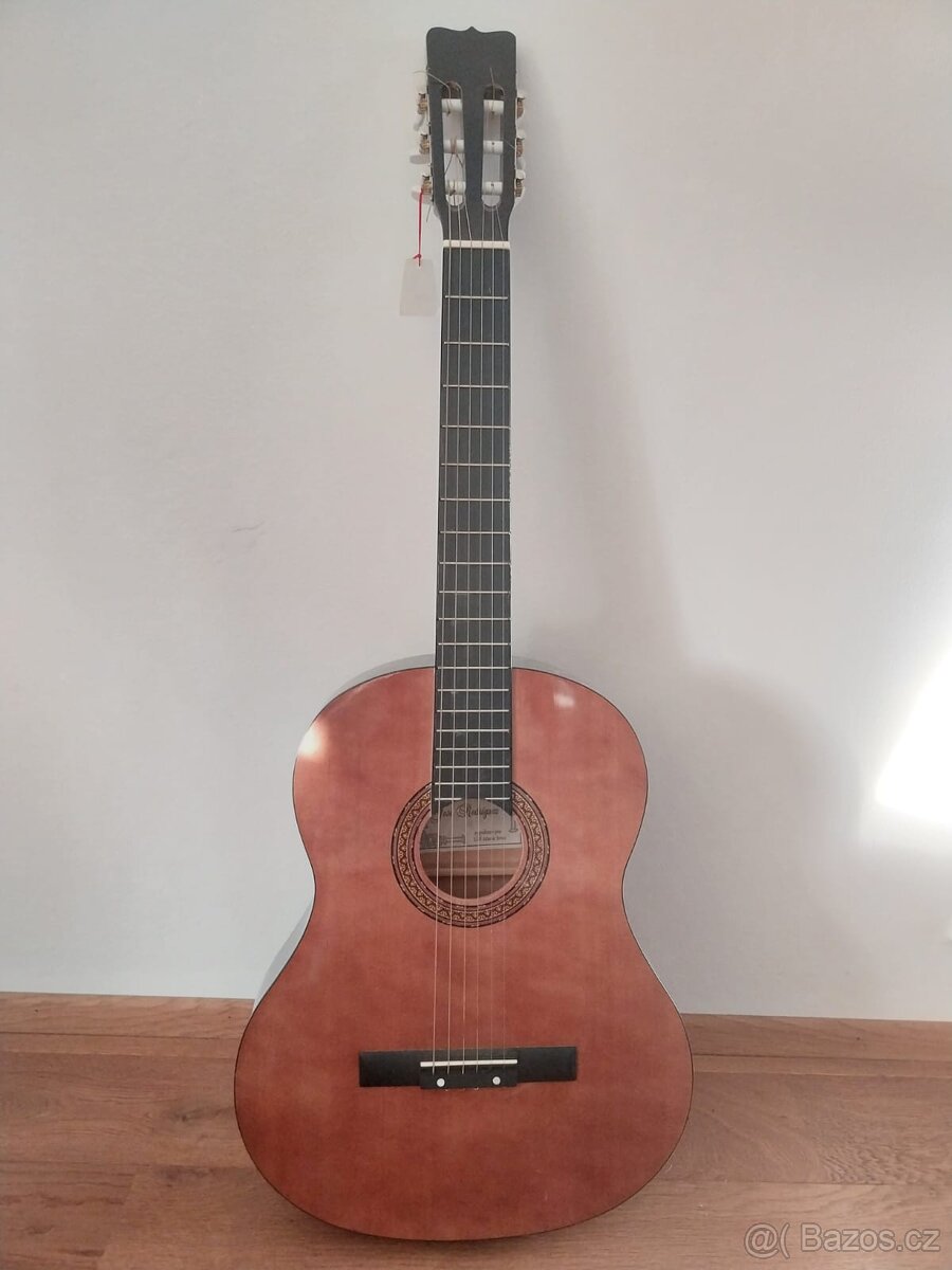 Hudební nástroj _ kytara