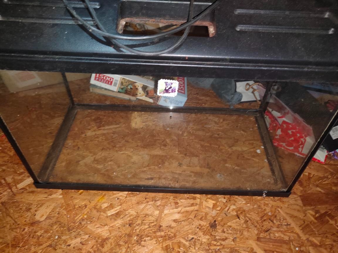 Akvarium s vybyvením