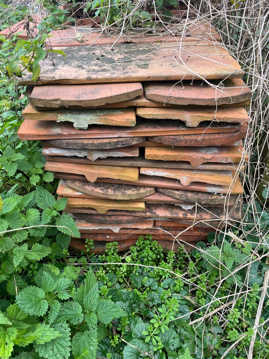 Bobrovky