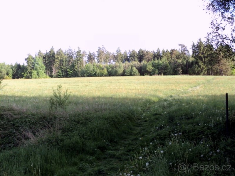 Pronájem pozemku.