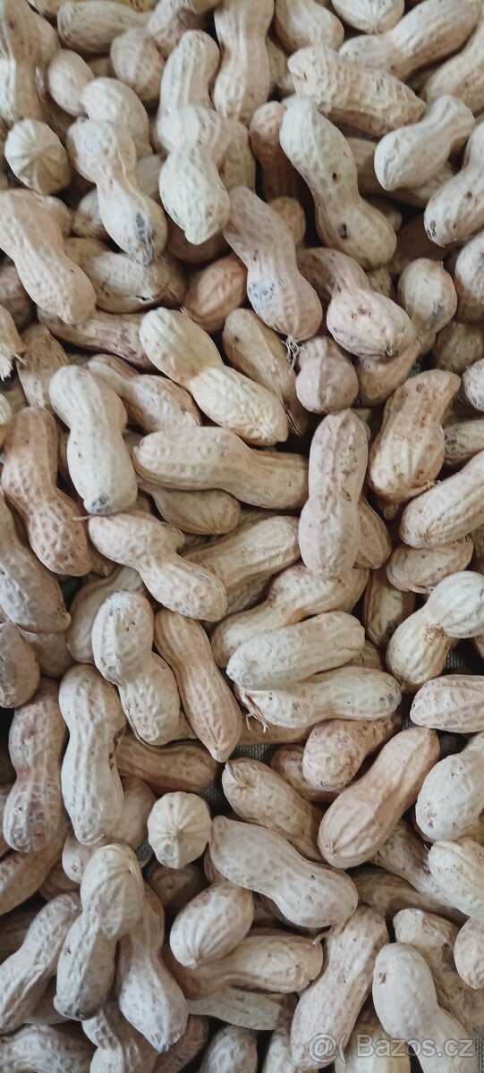 Arašídy celé nesolené, nepražené 5 kg.