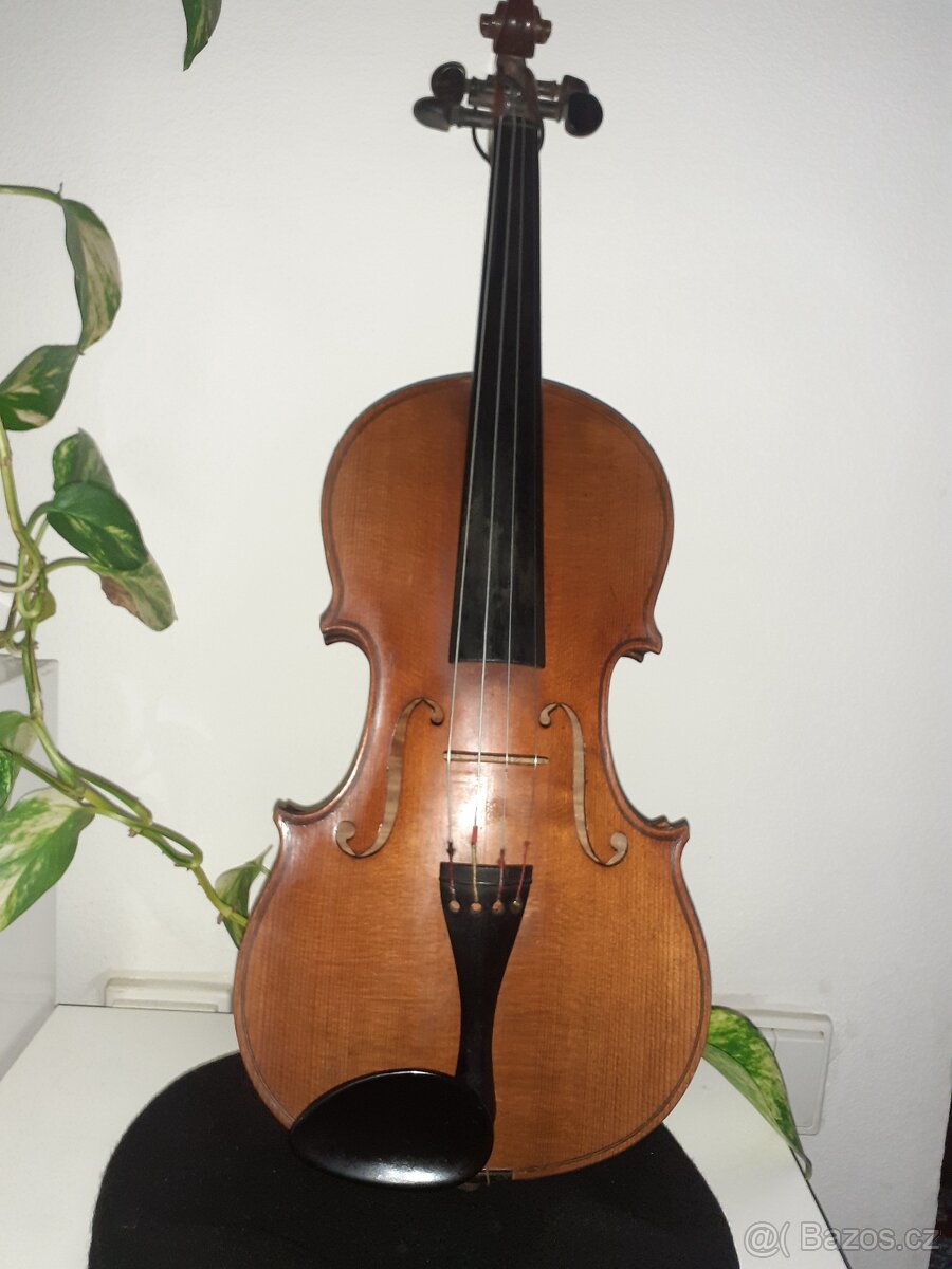 Housle celé